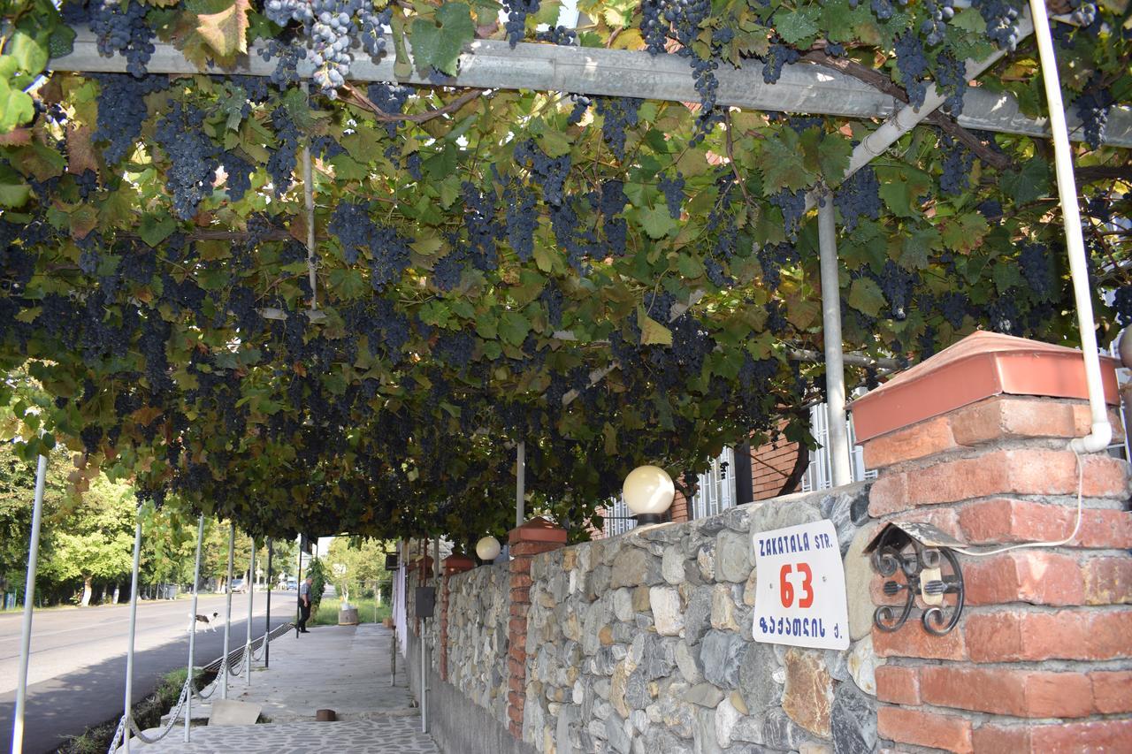 Family Hotel Lago&Wine Cellar Lagodekhi Esterno foto